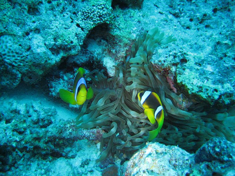 2009-12-01 14-34-20S.JPG